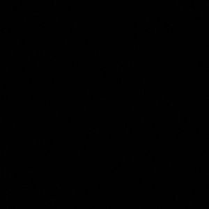 Meet your Posher, Nyla